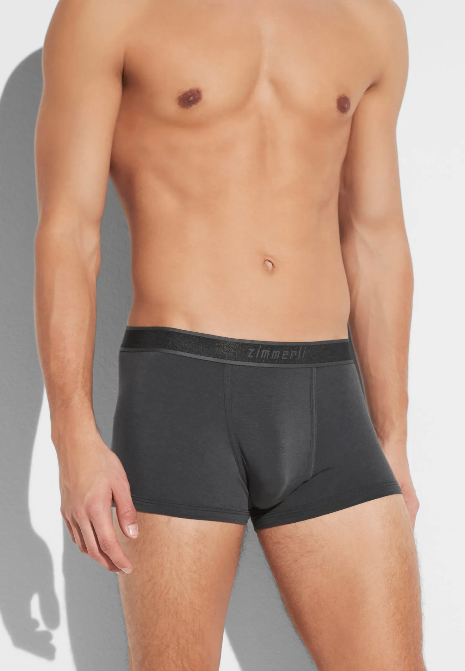 Caleçons Et Boxer Briefs-Zimmerli Cozy ComfortBoxer Trunk - raven