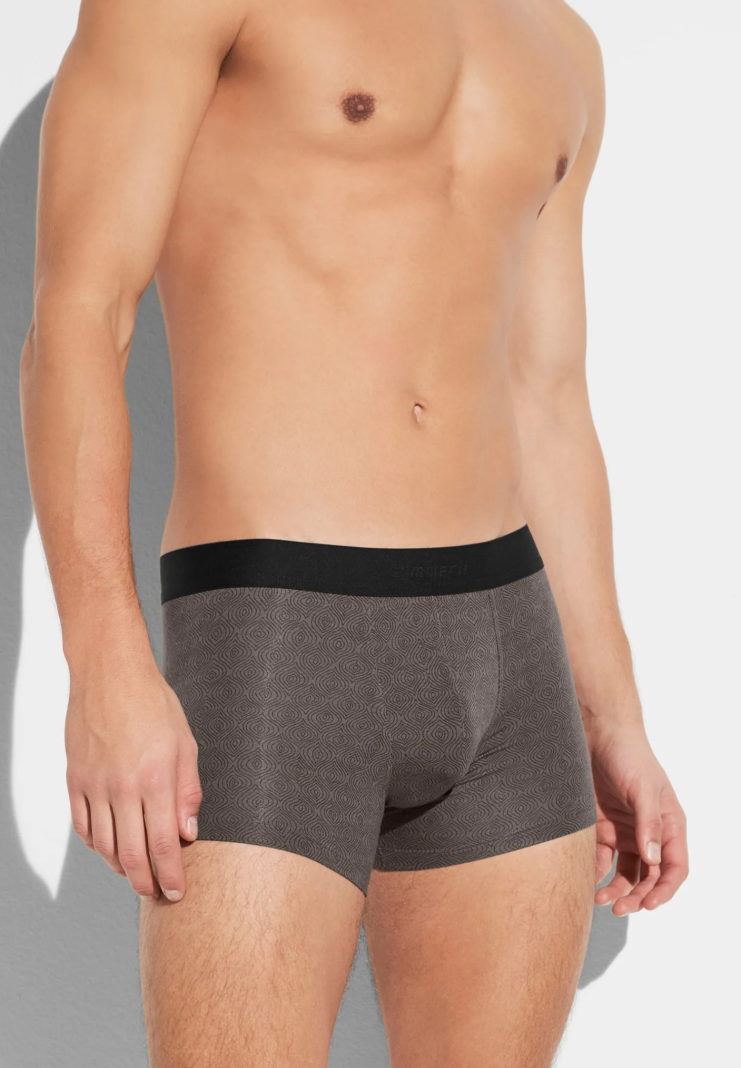 Caleçons Et Boxer Briefs-Zimmerli Pureness PrintBoxer Trunk - linear geo brown